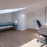 بيت شباب Vipavska House *