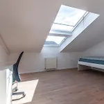 Vipavska House 호스텔